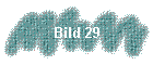 Bild 29