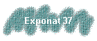 Exponat 37