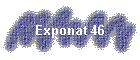 Exponat 46