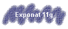 Exponat 11g