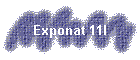 Exponat 11l