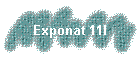 Exponat 11l