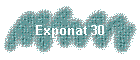 Exponat 30