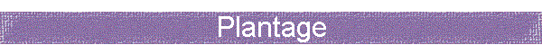 Plantage