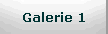 Galerie 1