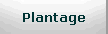 Plantage