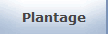 Plantage