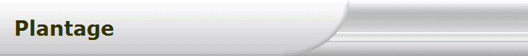 Plantage