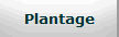 Plantage